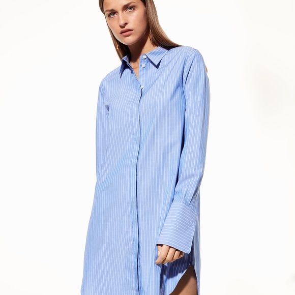 Babaton Dresses & Skirts - Babaton ~ Blue / White Stripe Carleton Dress Shirt